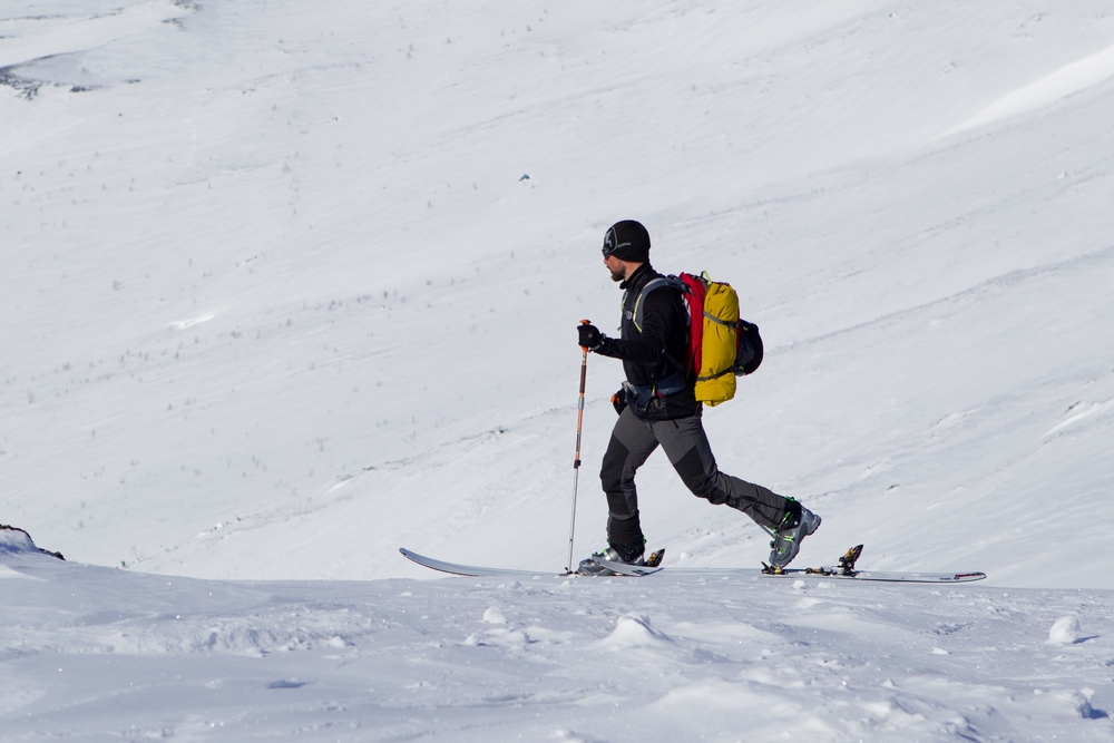 Горные лыжи Black Diamond