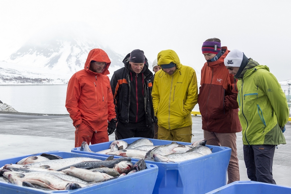 Скитур в Норвегии