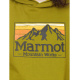 Толстовка мужская Marmot MMW Gradient Hoody | Cilantro | Вид 4
